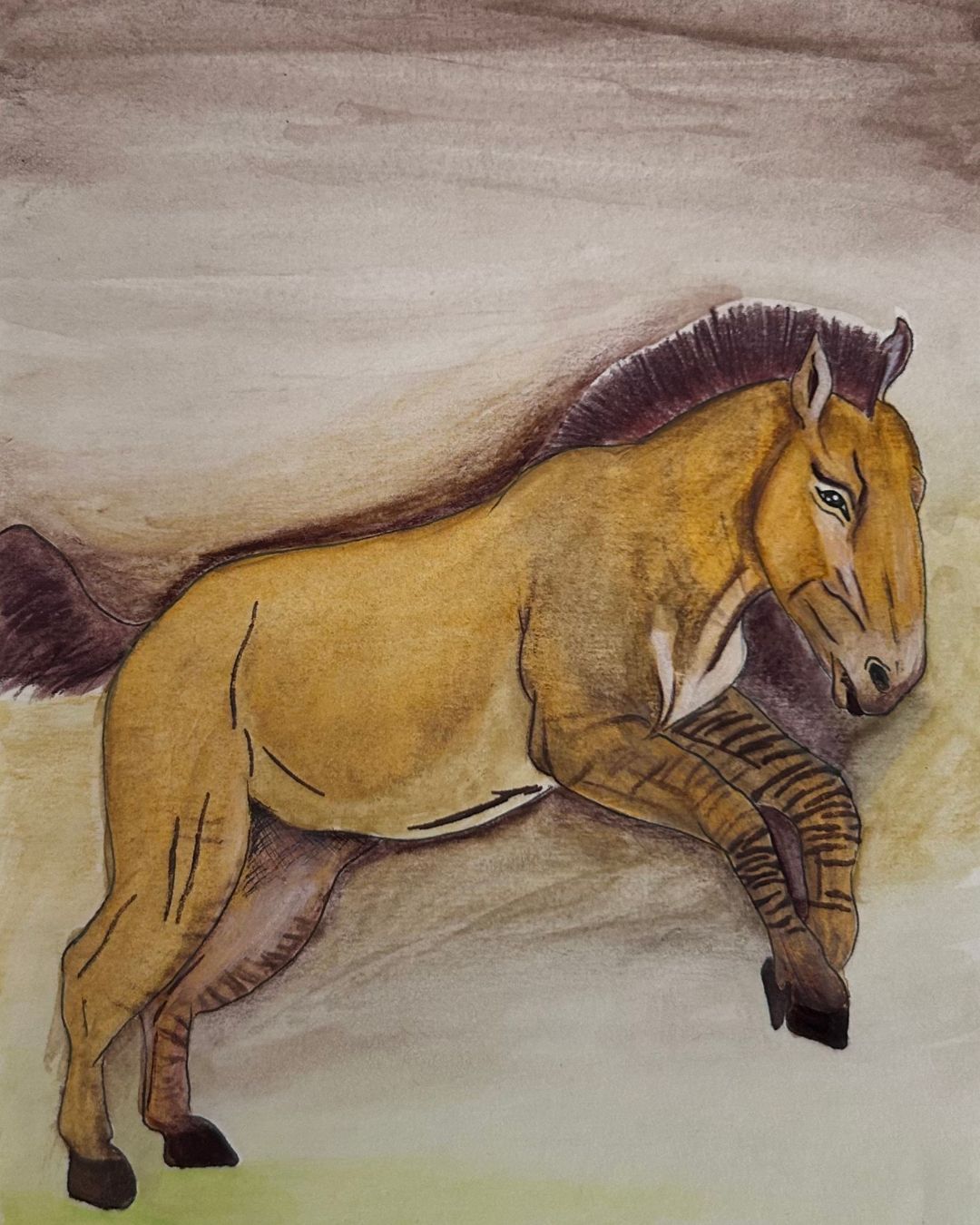 Cavallo prezvalski