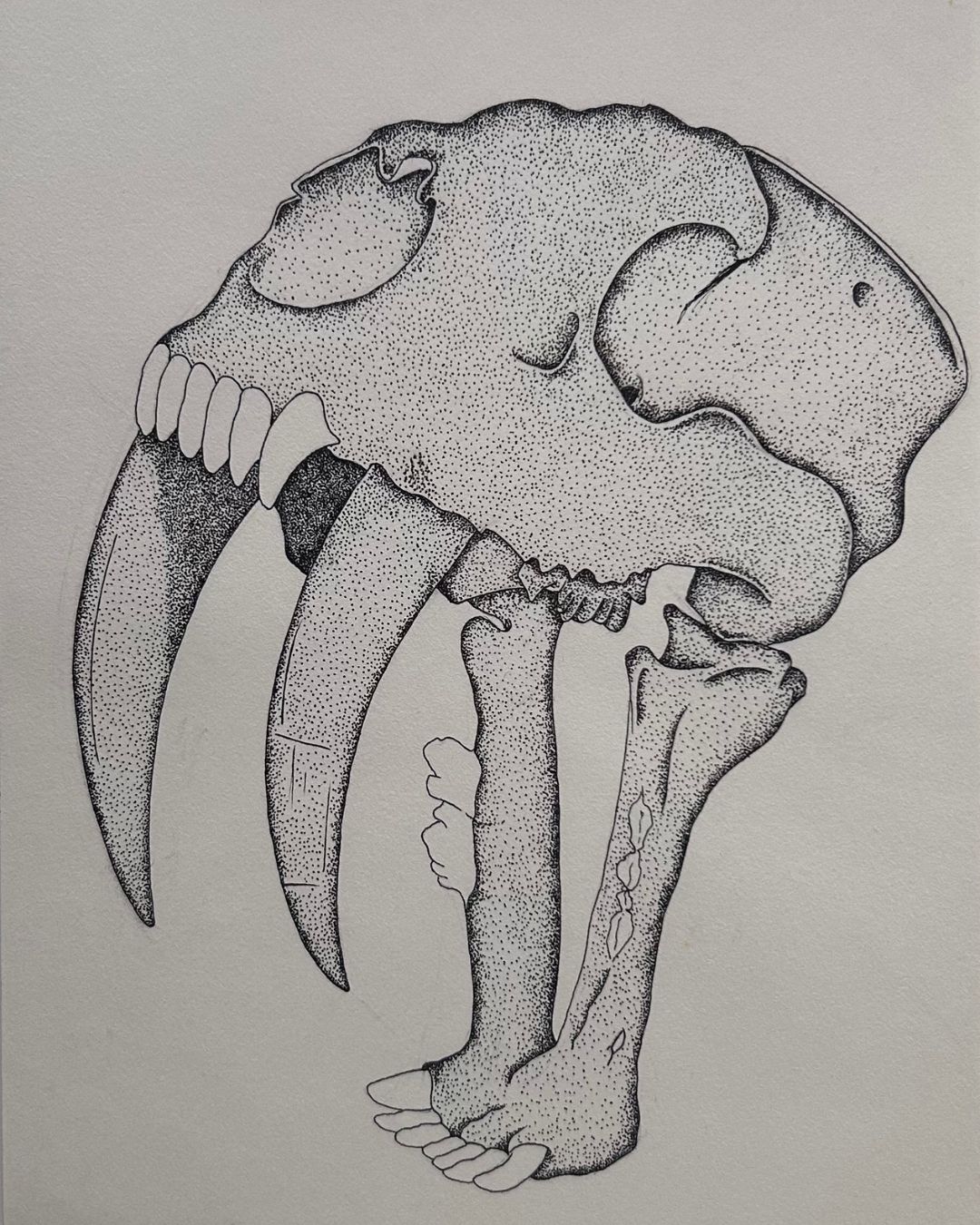 Smilodon