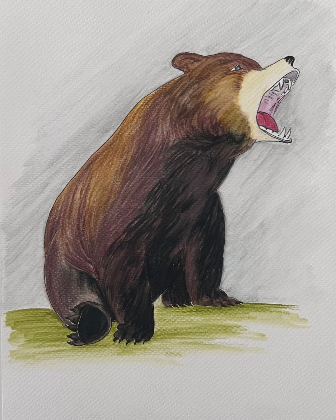 ursus-Speleaus